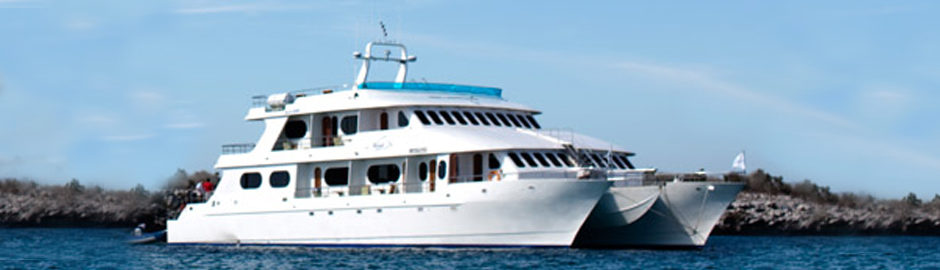 Tip Top II Catamaran